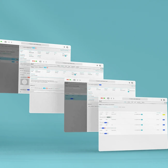 Screenshot del software "BASE".