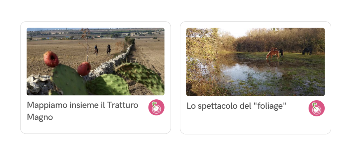 Cards di collezioni dedicate.